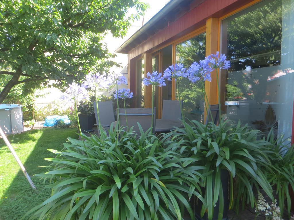 Gartenhaus Klotzsche Drezda Kültér fotó